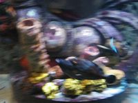 Atlantis Acquarium