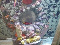 Atlantis Acquarium