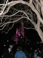 Cinderella's Castle