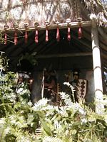 Jungle Hut