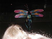 Light Parade