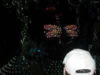 Light Parade