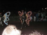 Light Parade