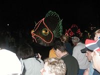 Light Parade