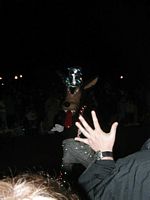 Light Parade