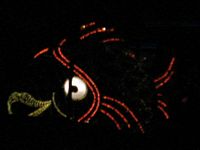 Light Parade