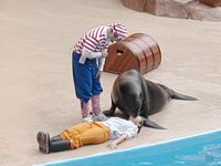 Sea Lion